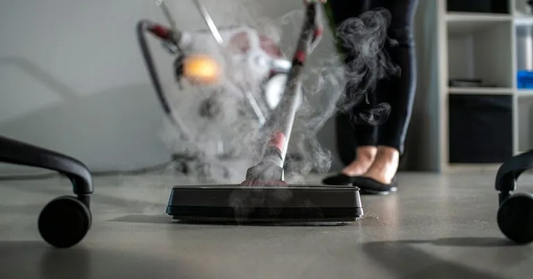 Aspirator profesional cu abur Gioel PRO (Horeca), 170 grade - imagine 2