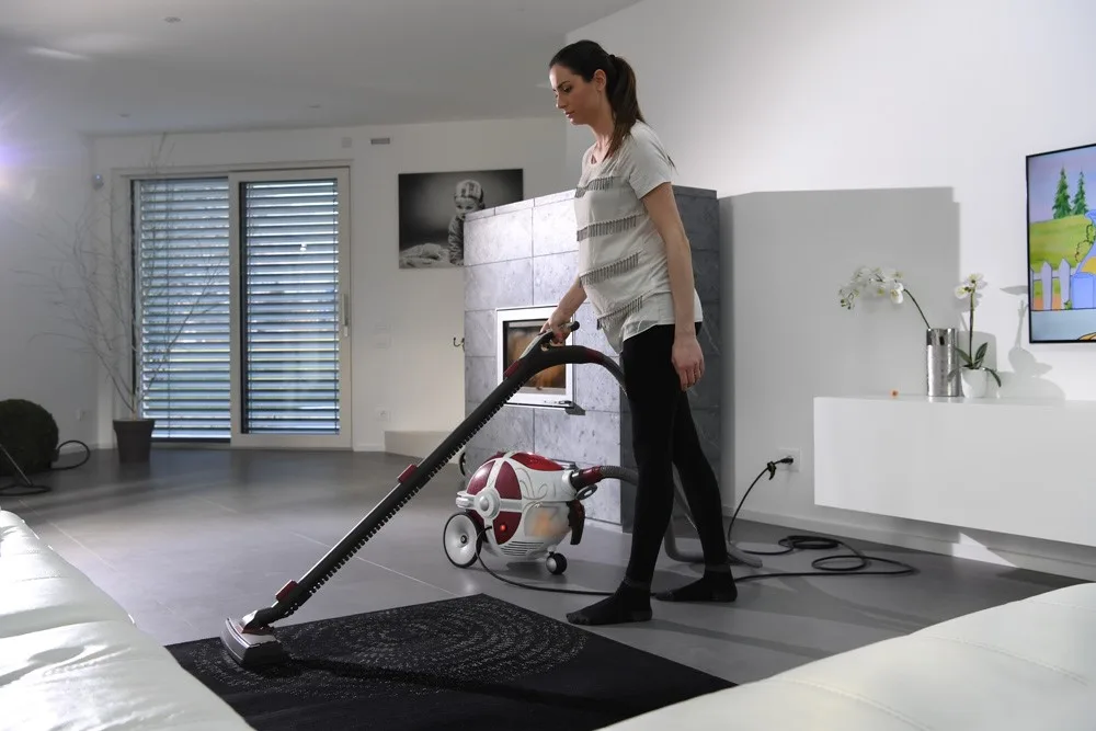 Aspirator profesional cu abur Gioel PRO (Horeca), 170 grade - imagine 10